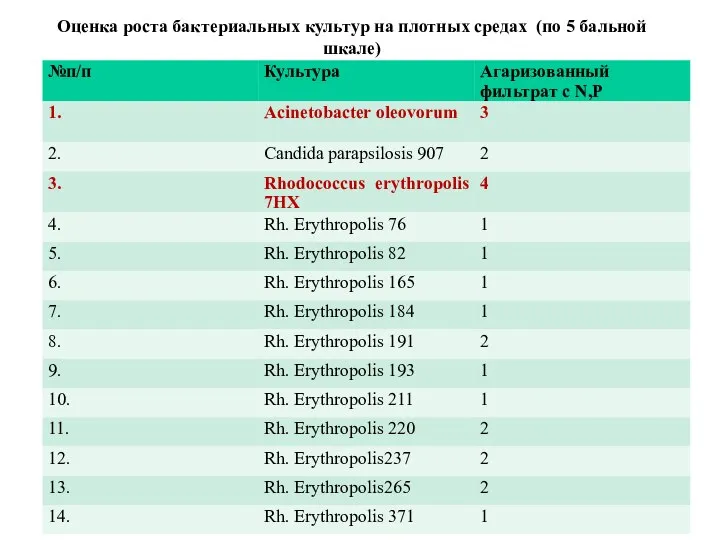 Оценка роста бактериальных культур на плотных средах (по 5 бальной шкале)