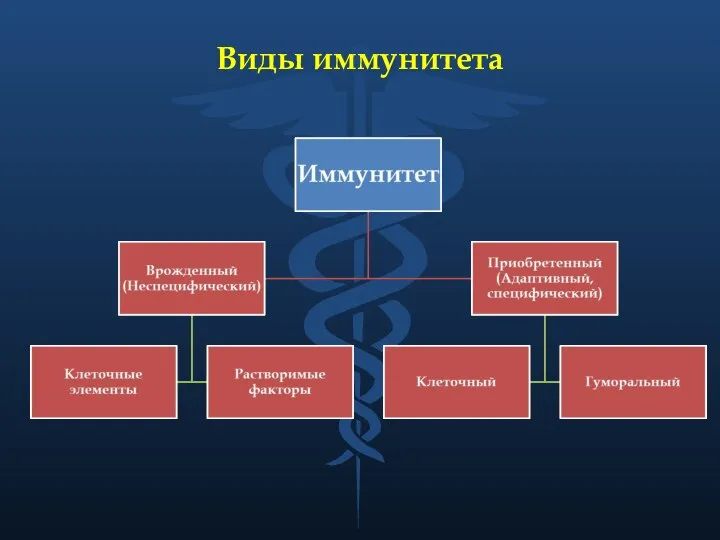 Виды иммунитета