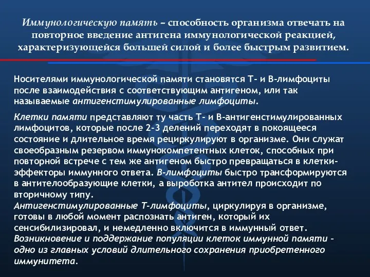 Иммунологическую память – способность организма отвечать на повторное введение антигена иммунологической