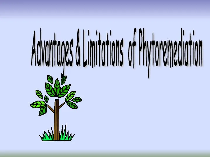 Advantages & Limitations of Phytoremediation