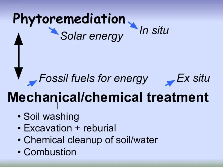 Phytoremediation Mechanical/chemical treatment Soil washing Excavation + reburial Chemical cleanup of soil/water Combustion