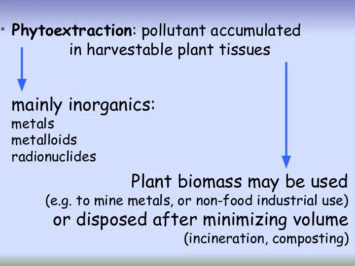 Phytoextraction: pollutant accumulated in harvestable plant tissues