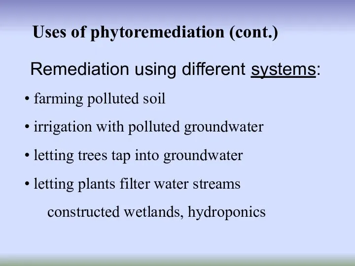 Uses of phytoremediation (cont.) farming polluted soil irrigation with polluted groundwater