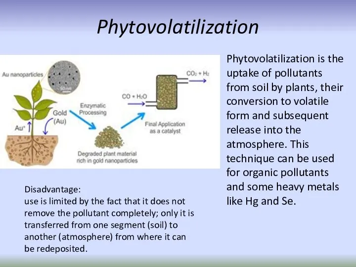 Phytovolatilization Phytovolatilization is the uptake of pollutants from soil by plants,