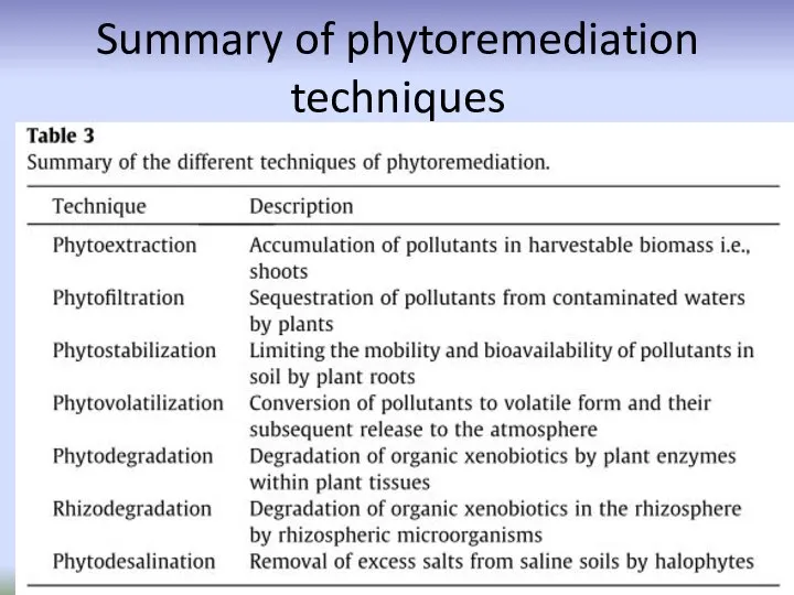 Summary of phytoremediation techniques