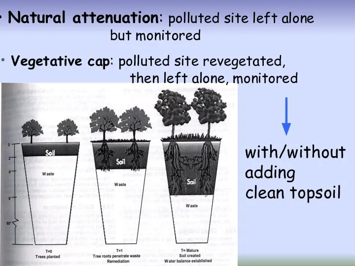 Natural attenuation: polluted site left alone but monitored Vegetative cap: polluted