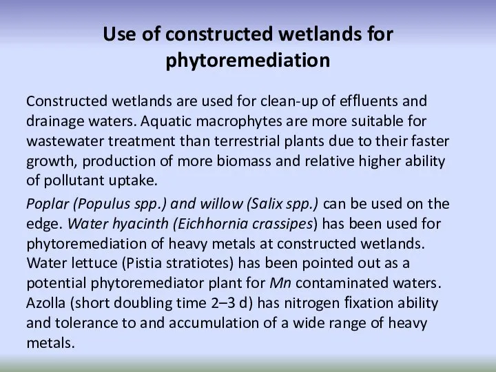 Use of constructed wetlands for phytoremediation Constructed wetlands are used for