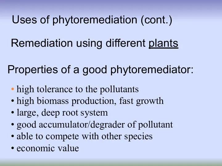 Uses of phytoremediation (cont.) high tolerance to the pollutants high biomass