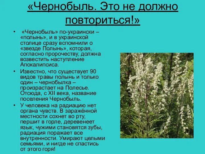 «Чернобыль. Это не должно повториться!» «Чернобыль» по-украински – «полынь», и в