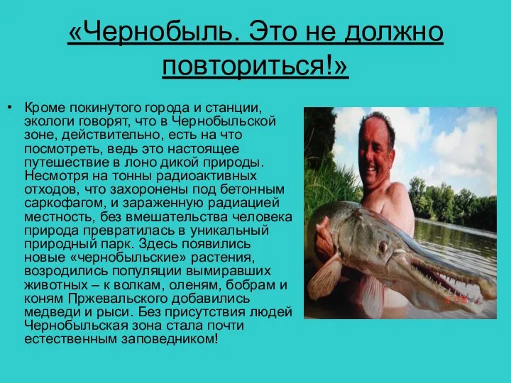 «Чернобыль. Это не должно повториться!» Кроме покинутого города и станции, экологи