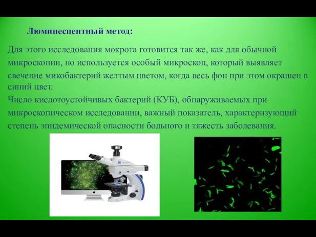 Люминесцентный метод: Для этого исследования мокрота готовится так же, как для