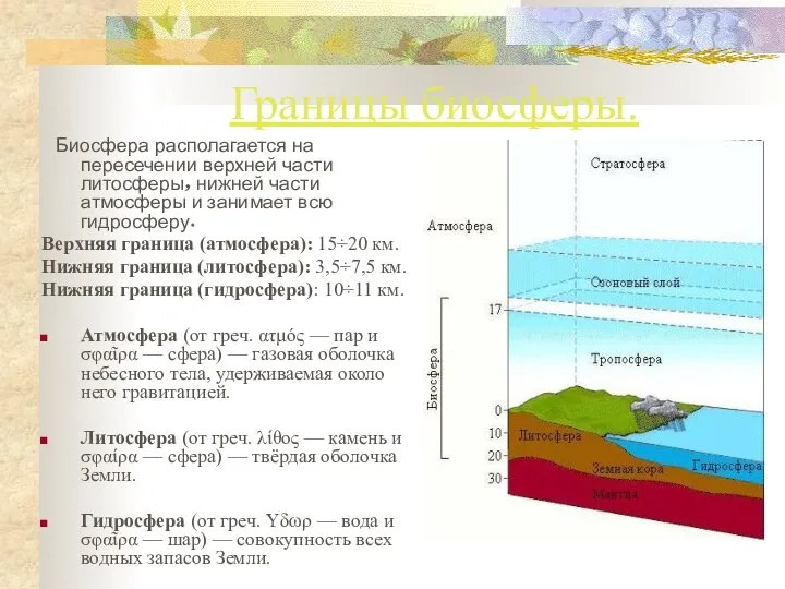 Границы биосферы. Биосфера располагается на пересечении верхней части литосферы, нижней части