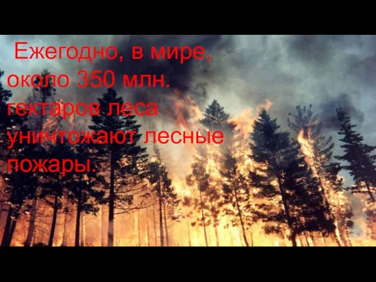 Ежегодно, в мире, около 350 млн. гектаров леса уничтожают лесные пожары.