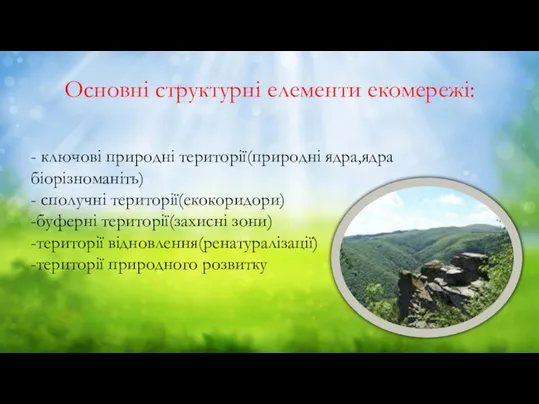 Основні структурні елементи екомережі: - ключові природні території(природні ядра,ядра біорізноманіть) -