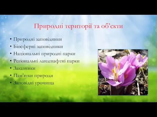 Природні території та об’єкти Природні заповідники Біосферні заповідники Національні природні парки