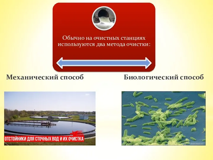 Биологический способ Механический способ