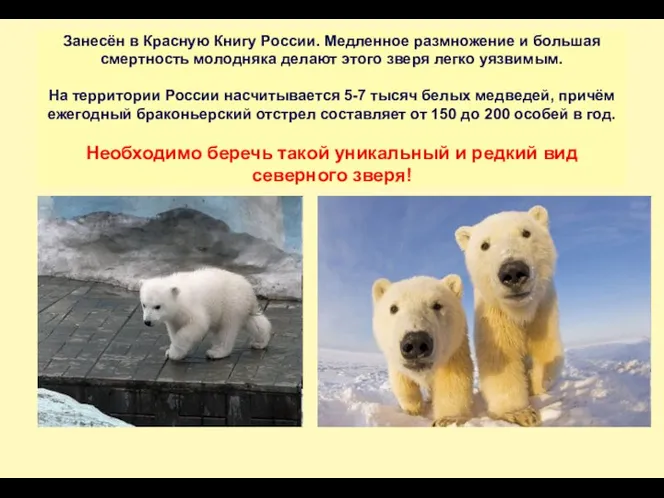 -2,2% к началу 2009 г Занесён в Красную Книгу России. Медленное