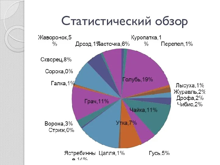 Статистический обзор