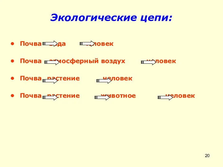 Экологические цепи: Почва вода человек Почва атмосферный воздух человек Почва растение человек Почва растение животное человек