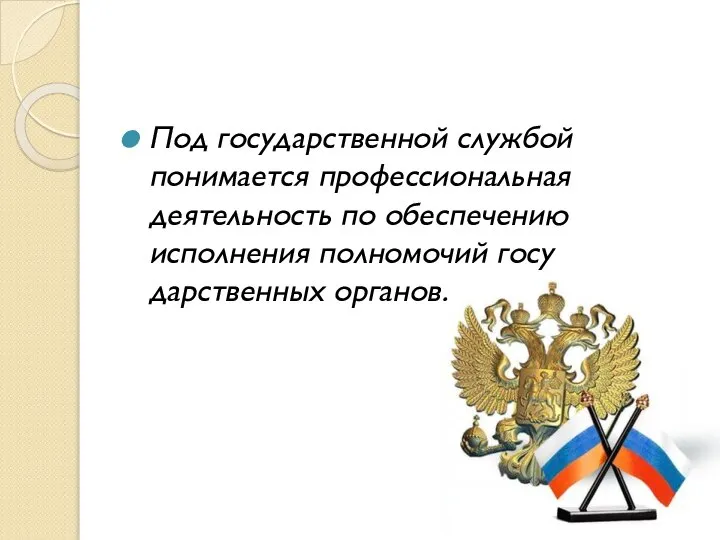 Под государственной службой понимается профессиональная деятельность по обеспечению исполнения полномочий госу­дарственных органов.