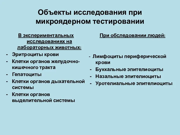 Объекты исследования при микроядерном тестировании В экспериментальных исследованиях на лабораторных животных: