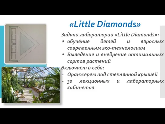 «Little Diamonds» Задачи лаборатории «Little Diamonds»: обучение детей и взрослых современным