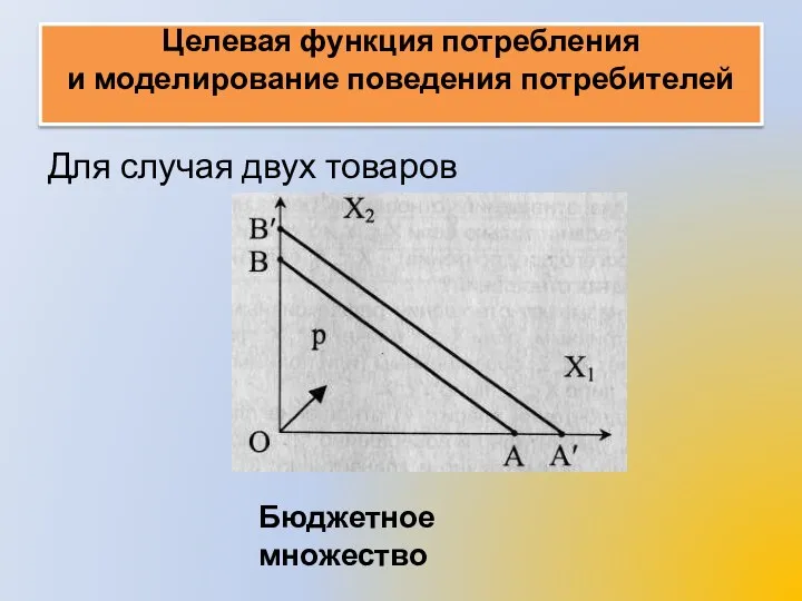 Целевая функция потребления и моделирование поведения потребителей Для случая двух товаров Бюджетное множество