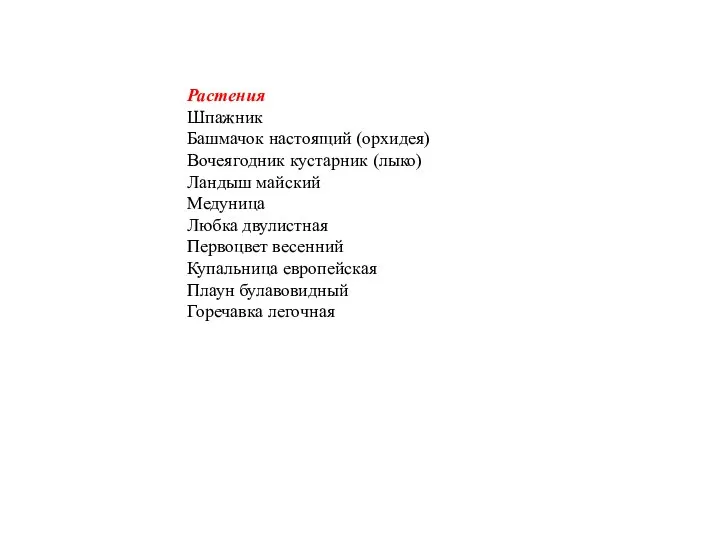 Растения Шпажник Башмачок настоящий (орхидея) Вочеягодник кустарник (лыко) Ландыш майский Медуница