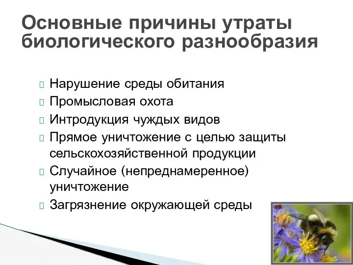 Основные причины утраты биологического разнообразия Нарушение среды обитания Промысловая охота Интродукция