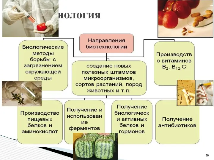 Биотехнология