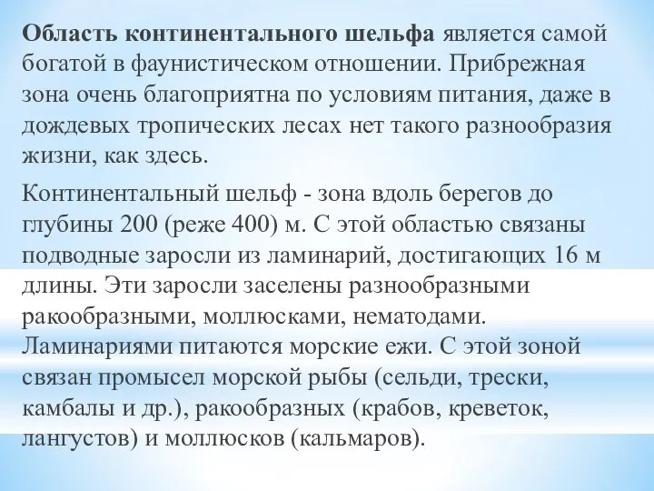 Область континентального шельфа является самой богатой в фаунистическом отношении. Прибрежная зона