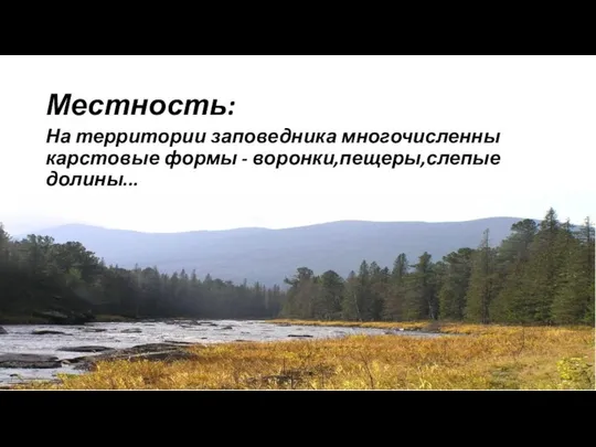 Местность: На территории заповедника многочисленны карстовые формы - воронки,пещеры,слепые долины...