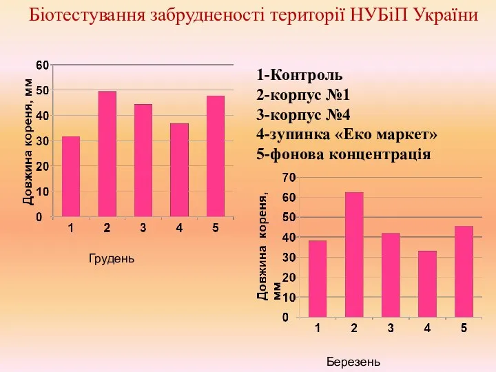 Грудень Березень 1-Контроль 2-корпус №1 3-корпус №4 4-зупинка «Еко маркет» 5-фонова