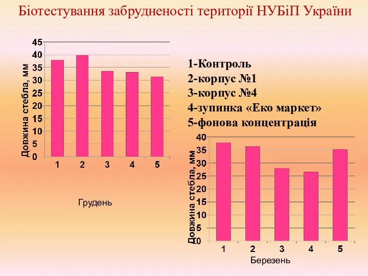 Біотестування забрудненості території НУБіП України Грудень Березень 1-Контроль 2-корпус №1 3-корпус