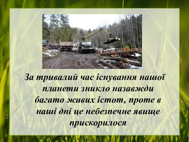 За тривалий час існування нашої планети зникло назавжди багато живих істот,