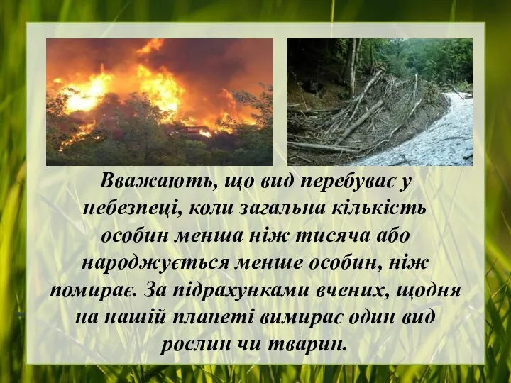 Вважають, що вид перебуває у небезпеці, коли загальна кількість особин менша