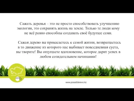 Сажать деревья – это не просто способствовать улучшению экологии, это сохранять