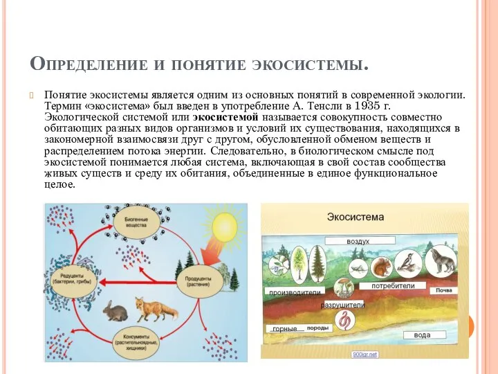 Определение и понятие экосистемы. Понятие экосистемы является одним из основных понятий