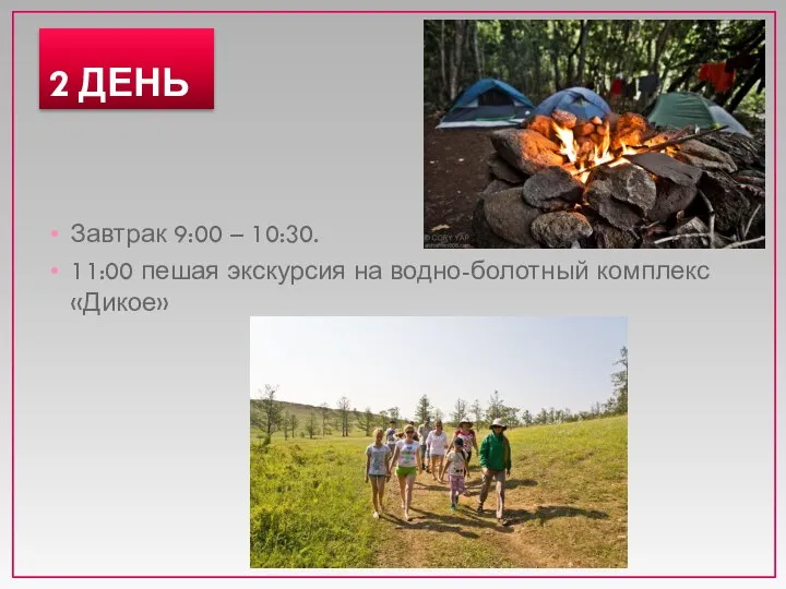 2 ДЕНЬ Завтрак 9:00 – 10:30. 11:00 пешая экскурсия на водно-болотный комплекс «Дикое»