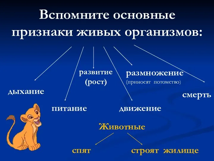 Вспомните основные признаки живых организмов: дыхание развитие (рост) питание размножение (приносят