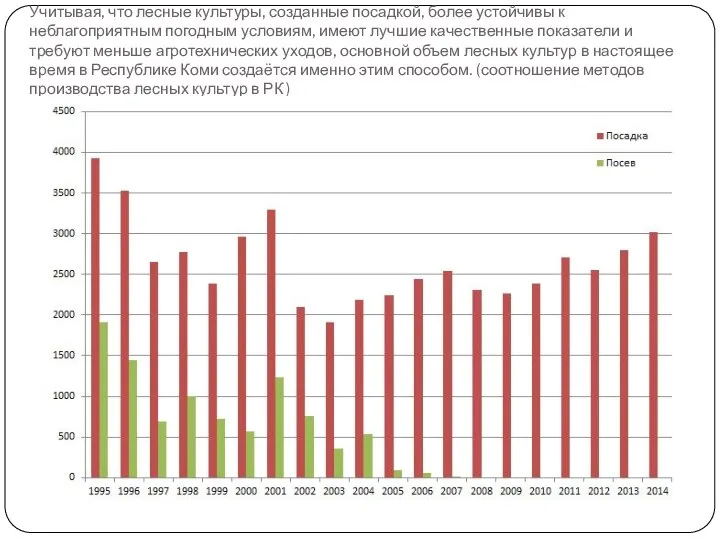 Учитывая, что лесные культуры, созданные посадкой, более устойчивы к неблагоприятным погодным