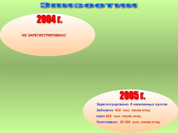 НЕ ЗАРЕГИСТРИРОВАНО 2004 г. Эпизоотии Зарегистрировано 8 населенных пунтов Заболело 428