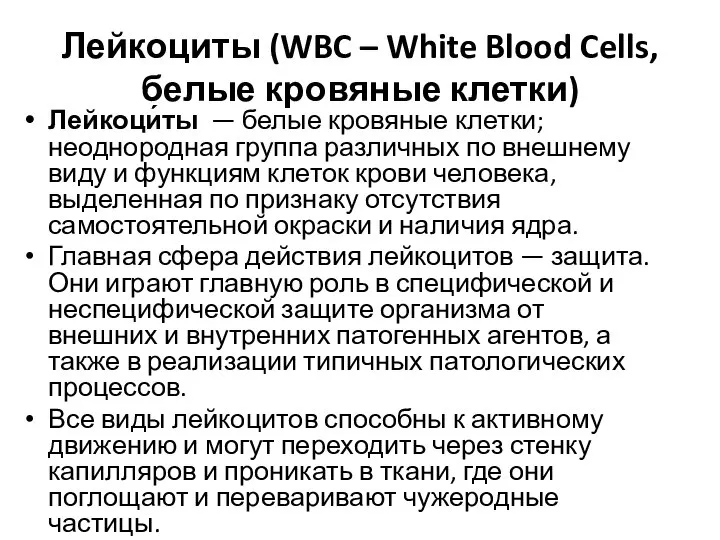 Лейкоциты (WBC – White Blood Cells, белые кровяные клетки) Лейкоци́ты —