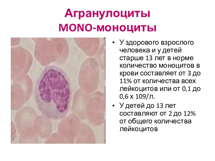 Агранулоциты MONO-моноциты У здорового взрослого человека и у детей старше 13