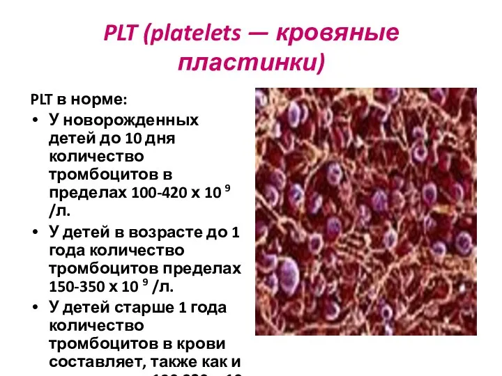 PLT (platelets — кровяные пластинки) PLT в норме: У новорожденных детей