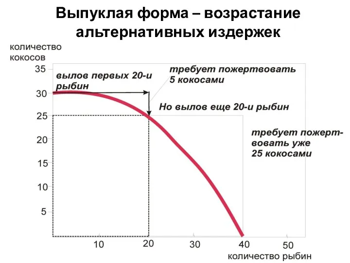 Выпуклая форма – возрастание альтернативных издержек