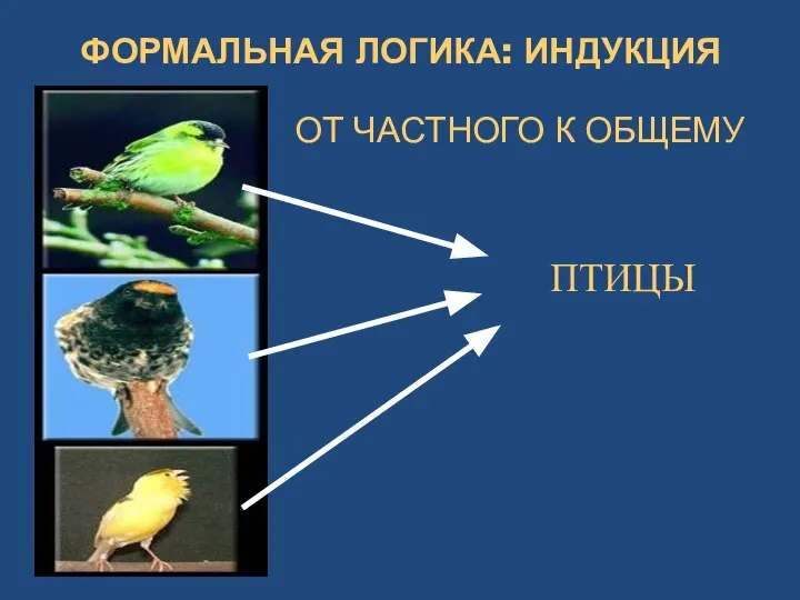 ФОРМАЛЬНАЯ ЛОГИКА: ИНДУКЦИЯ ПТИЦЫ ОТ ЧАСТНОГО К ОБЩЕМУ