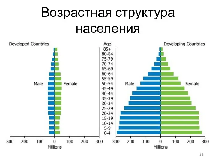 Возрастная структура населения