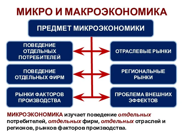 МИКРО И МАКРОЭКОНОМИКА ПРЕДМЕТ МИКРОЭКОНОМИКИ ПОВЕДЕНИЕ ОТДЕЛЬНЫХ ПОТРЕБИТЕЛЕЙ ПОВЕДЕНИЕ ОТДЕЛЬНЫХ ФИРМ