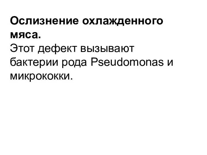 Ослизнение охлажденного мяса. Этот дефект вызывают бактерии рода Pseudomonas и микрококки.